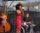 audreymartells_jazztagehild-300x250