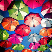 festreportfeb_c_cartersnewsagency