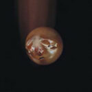cd_poolblood_mole