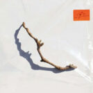 cd_pjharvey_iinside_168br