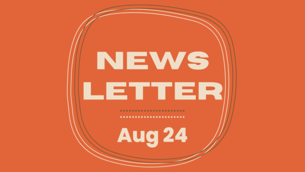 newsletter13