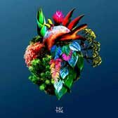 cd_hertree_shapeshift168px