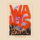 cd_wallisbird_icanseeyourhouse_168px